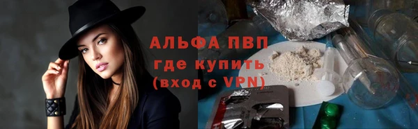 ECSTASY Новодвинск