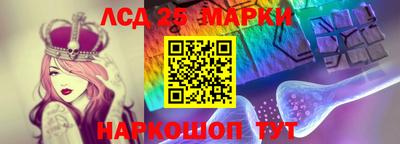 Альфа ПВП Кандалакша