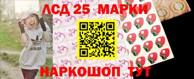Альфа ПВП Кандалакша