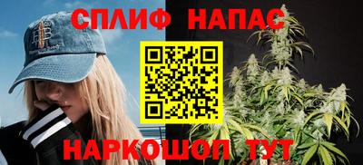 Альфа ПВП Кандалакша