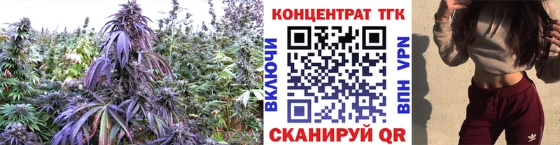 Дистиллят ТГК гашишное масло  Прохладный 