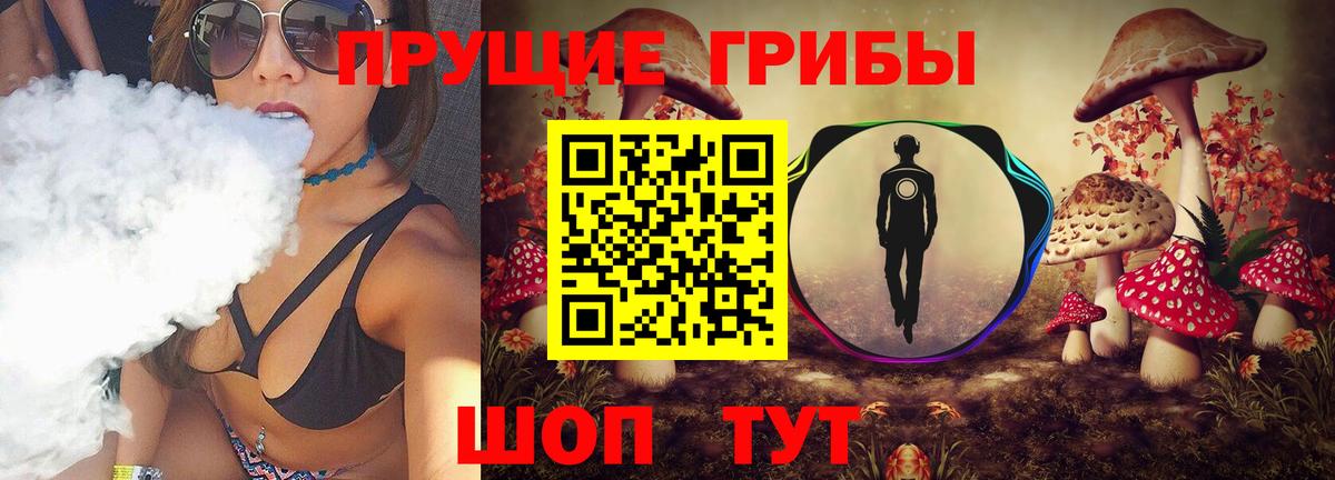 цены   Прохладный  Галлюциногенные грибы Cubensis 