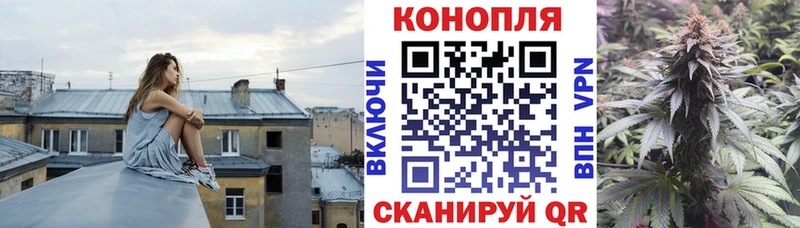 Конопля марихуана  сколько стоит  Прохладный 